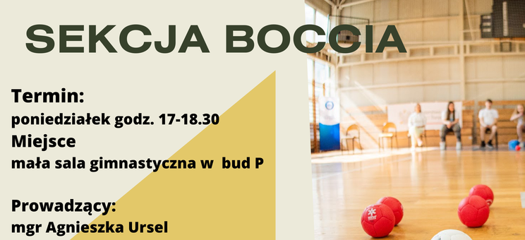 plakat Boccia